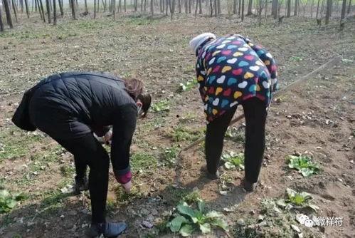 国产撅屁股在线视频网站,热门内容与用户评价一览